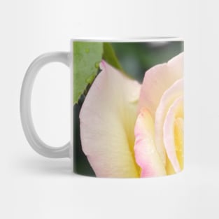 Rose in Spring Mug